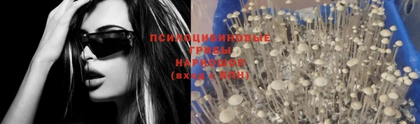 дживик Абинск