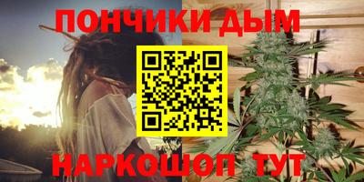 сатива Кунгур