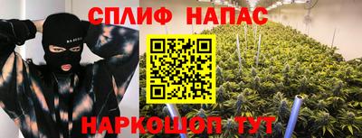 сатива Кунгур