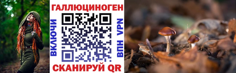 Псилоцибиновые грибы MAGIC MUSHROOMS  цены   Ивантеевка 