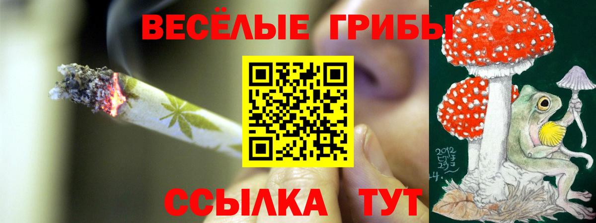 Псилоцибиновые грибы GOLDEN TEACHER  Вход с VPN  наркота  Ивантеевка 