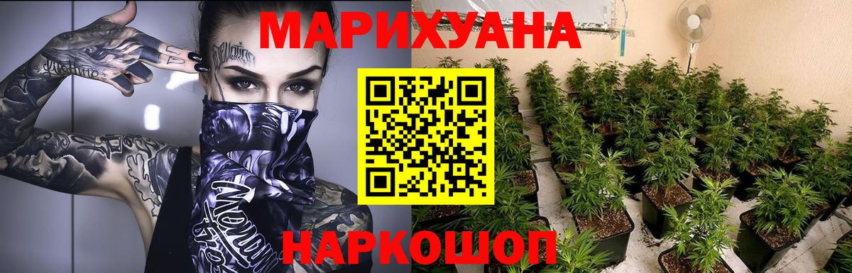 Каннабис сатива Ивантеевка